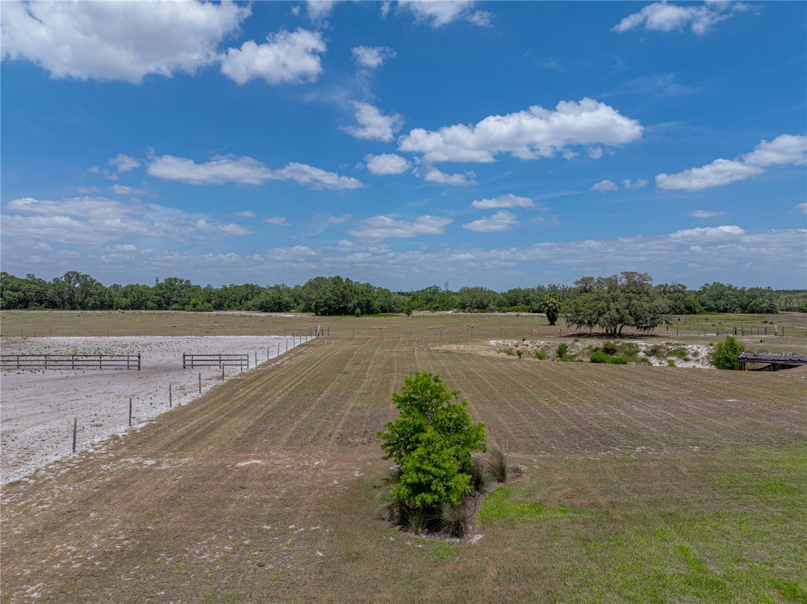 Listing photo id 58 for 3805 Mammoth Grove Road