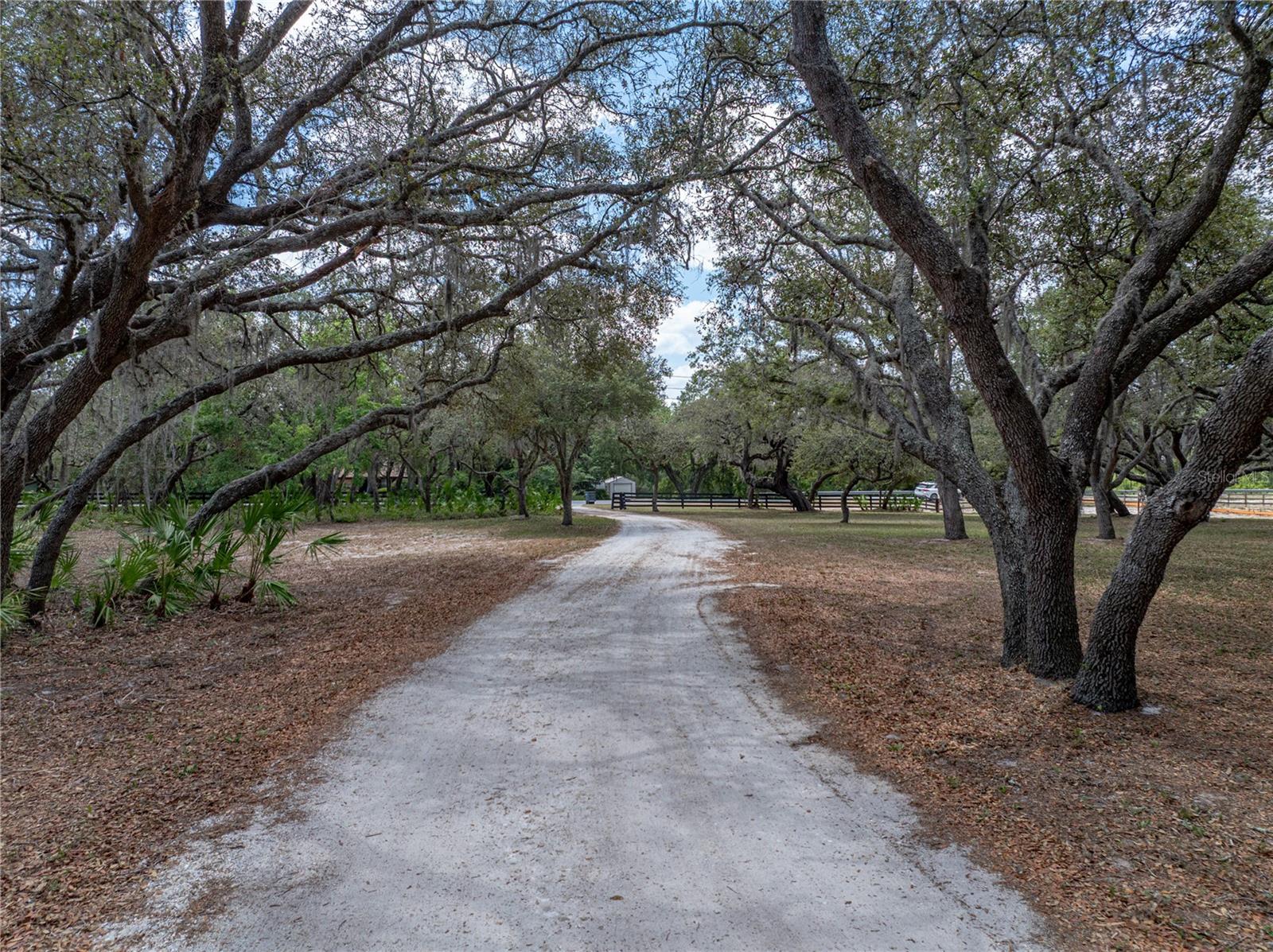 Listing photo id 67 for 3805 Mammoth Grove Road