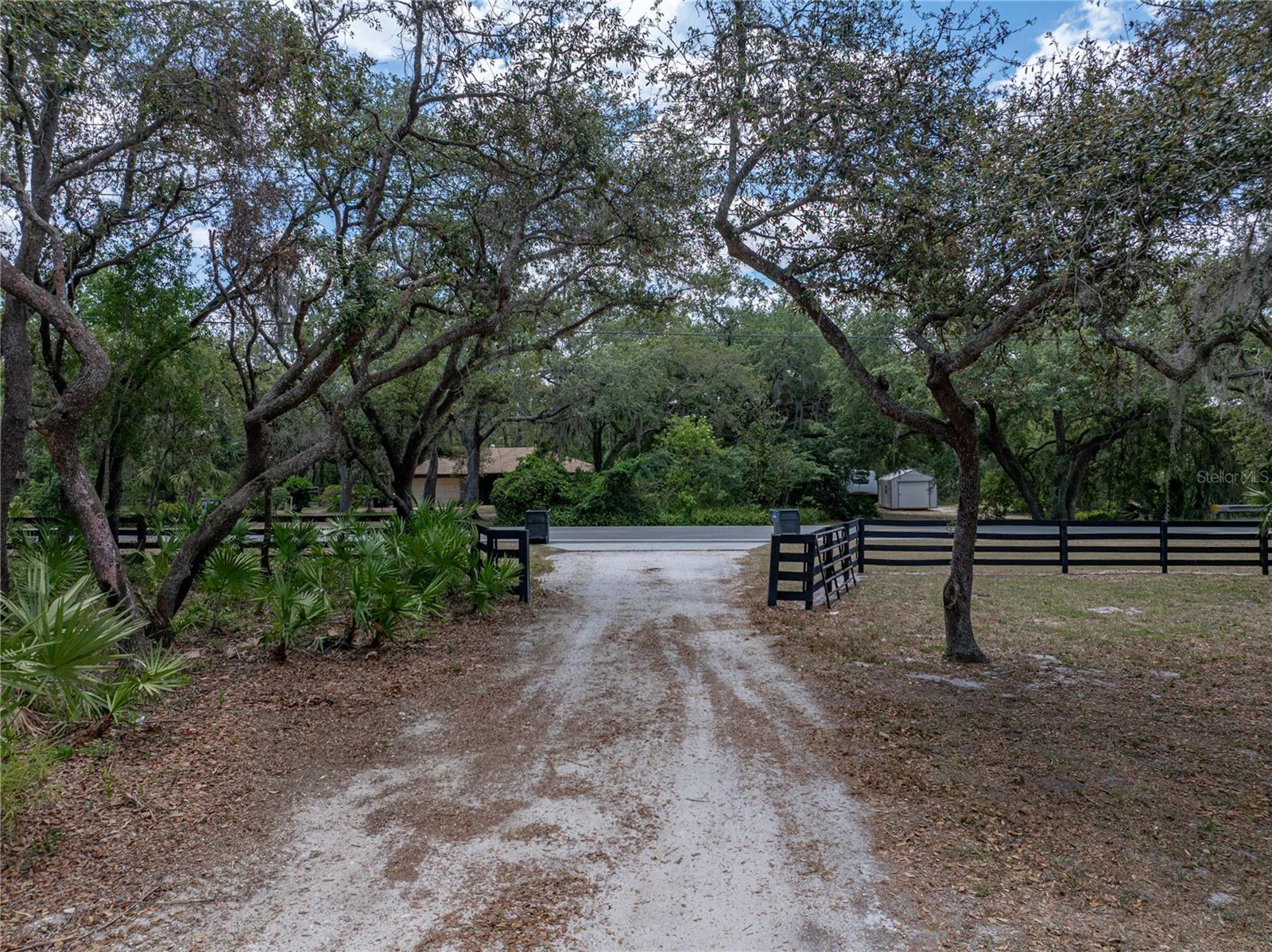 Listing photo id 68 for 3805 Mammoth Grove Road