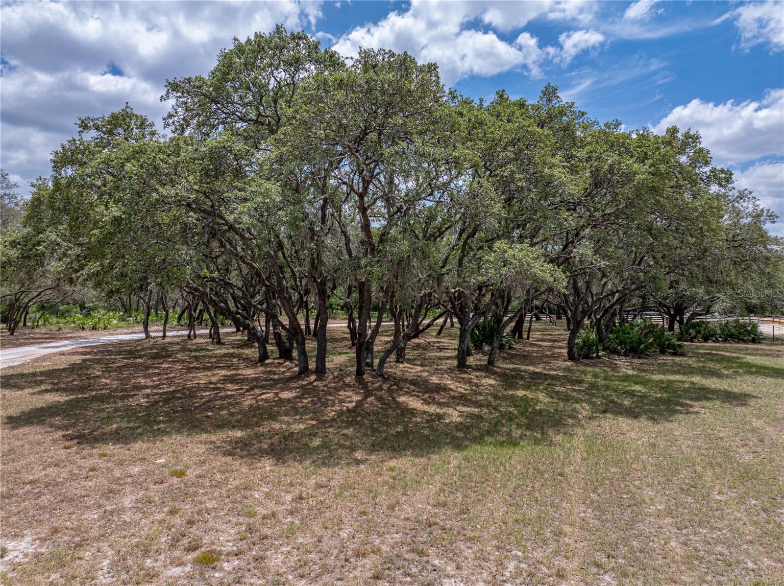 Listing photo id 69 for 3805 Mammoth Grove Road