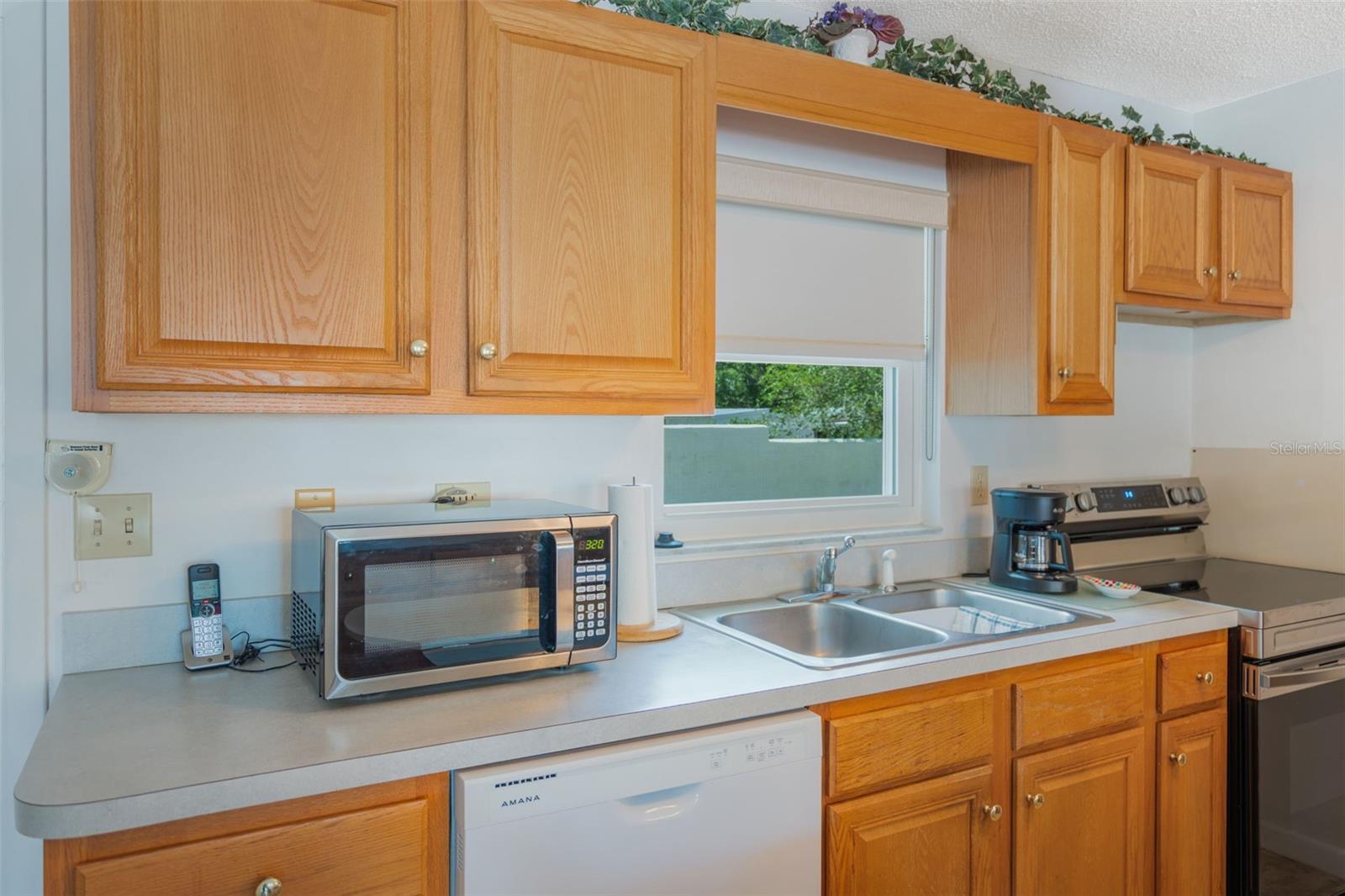 Image 5 of 20 For 1408 Thousand Roses Drive S