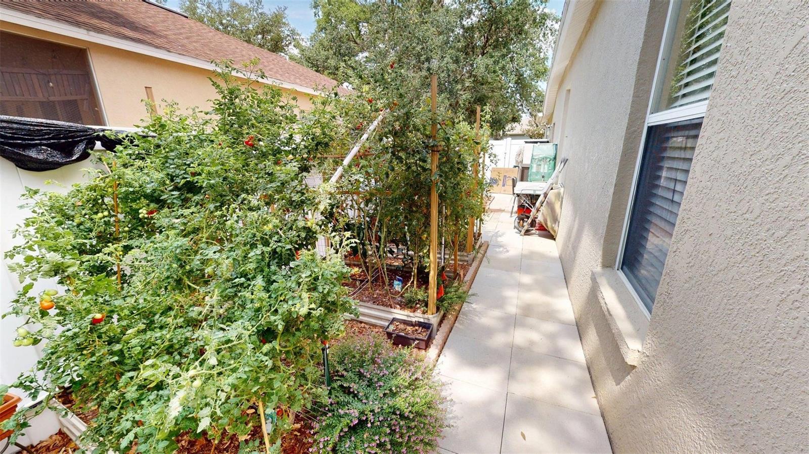 Image 52 of 55 For 4506 Gentrice Drive