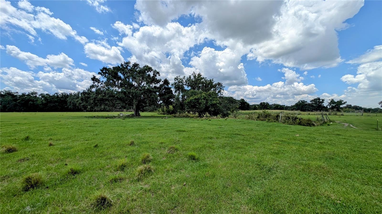 Image 8 of 50 For 1150 Saunders Lane