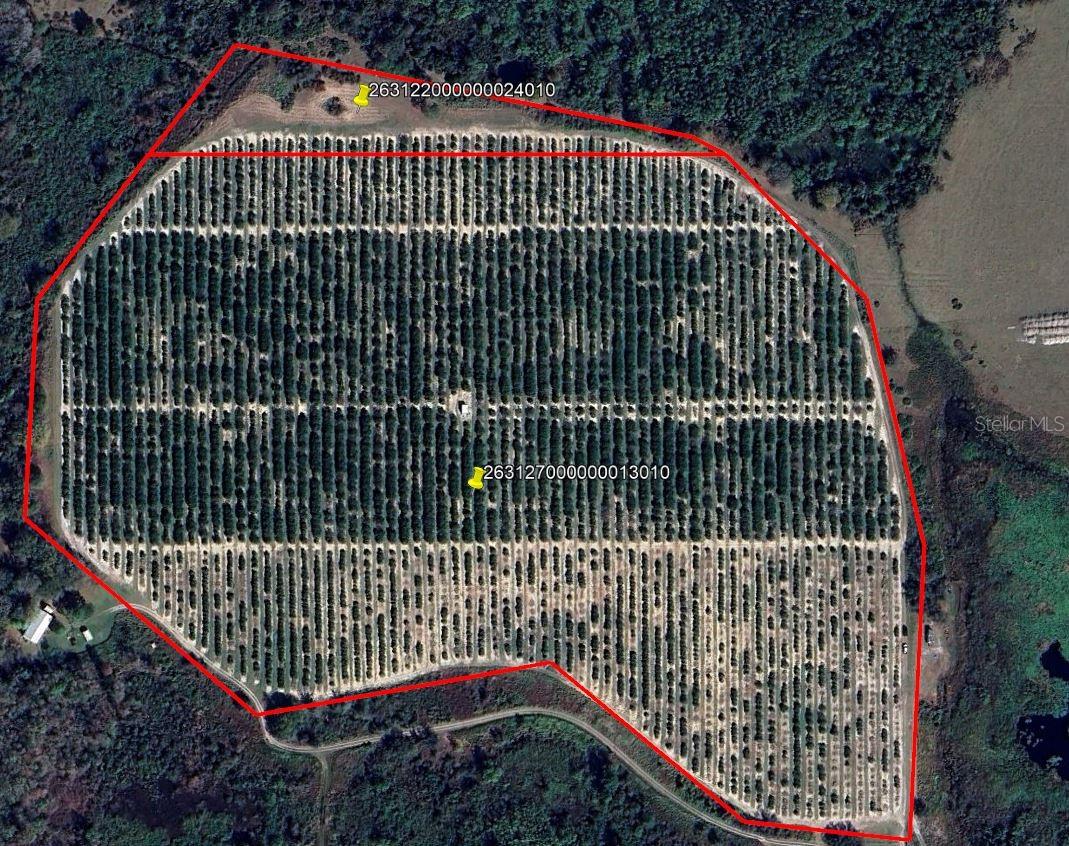 Details for Buffum Church Road, FORT MEADE, FL 33841