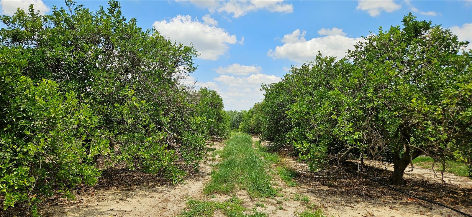Image 4 of 9 For Buffum Church Road