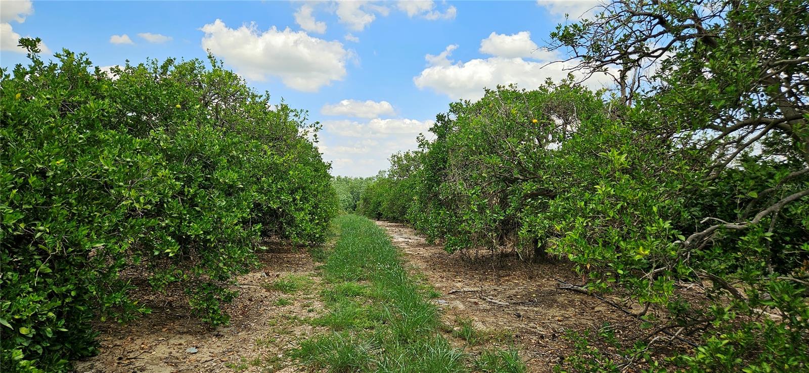 Image 5 of 9 For Buffum Church Road