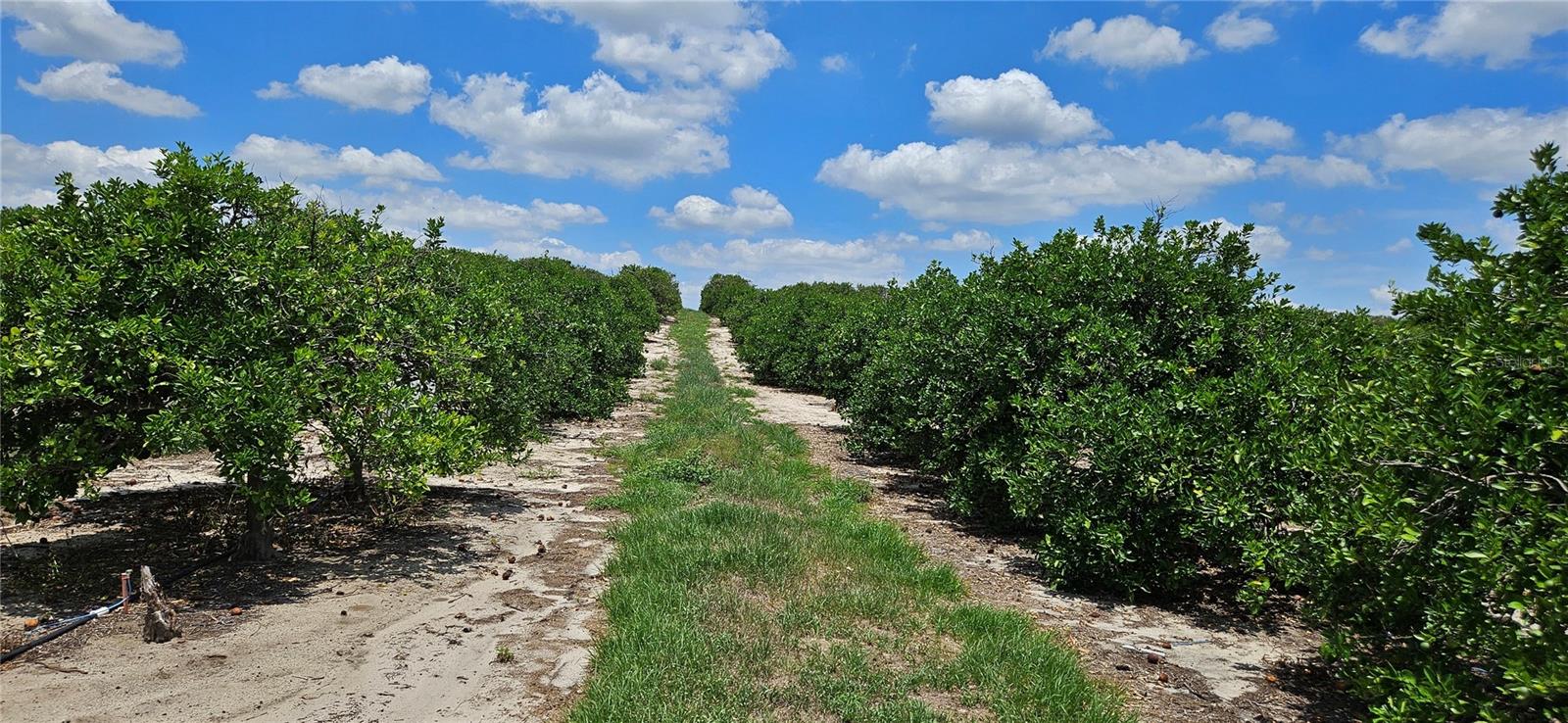 Image 6 of 9 For Buffum Church Road