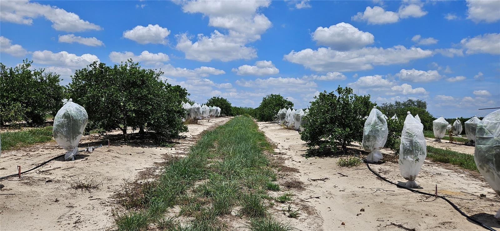 Image 7 of 9 For Buffum Church Road