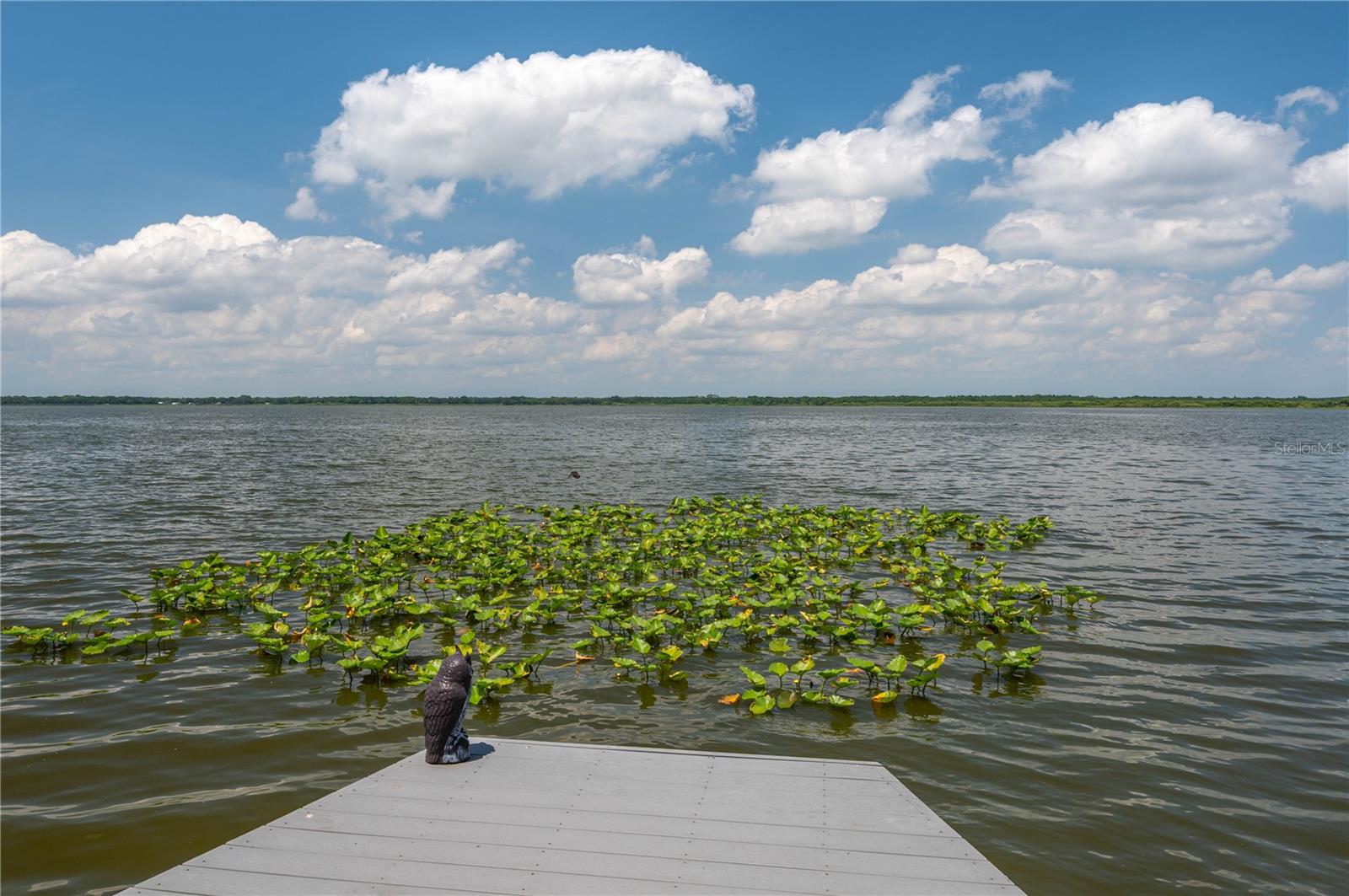 Image 78 of 85 For 4949 Lake Kotsa Drive