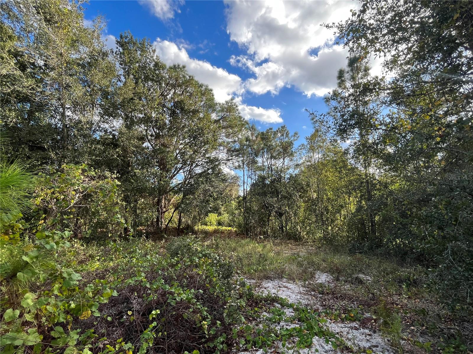 Image 6 of 9 For 0 Oakwood Drive