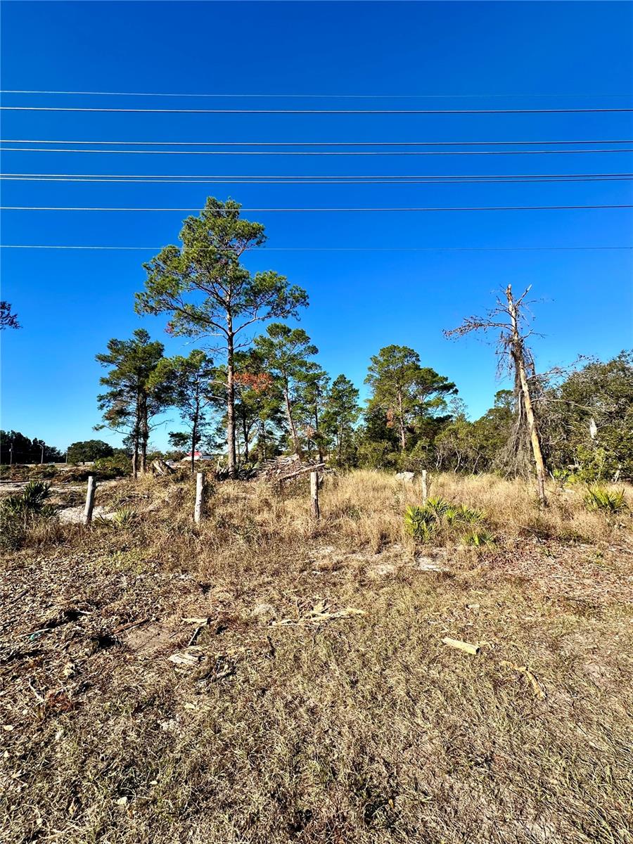 Image 16 of 20 For  Hwy 60 E 