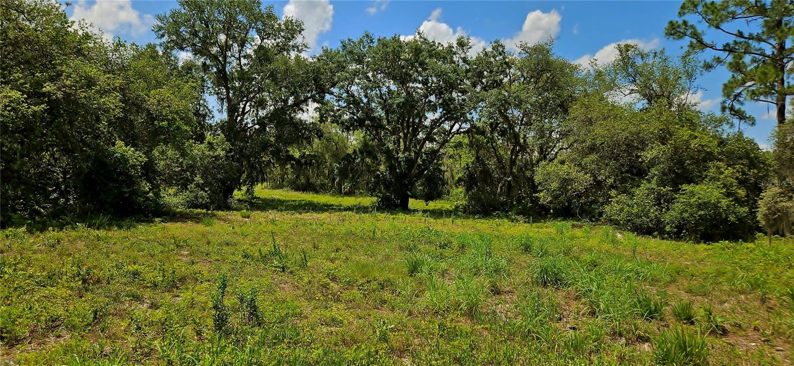 Image 4 of 7 For Mammoth Grove Road
