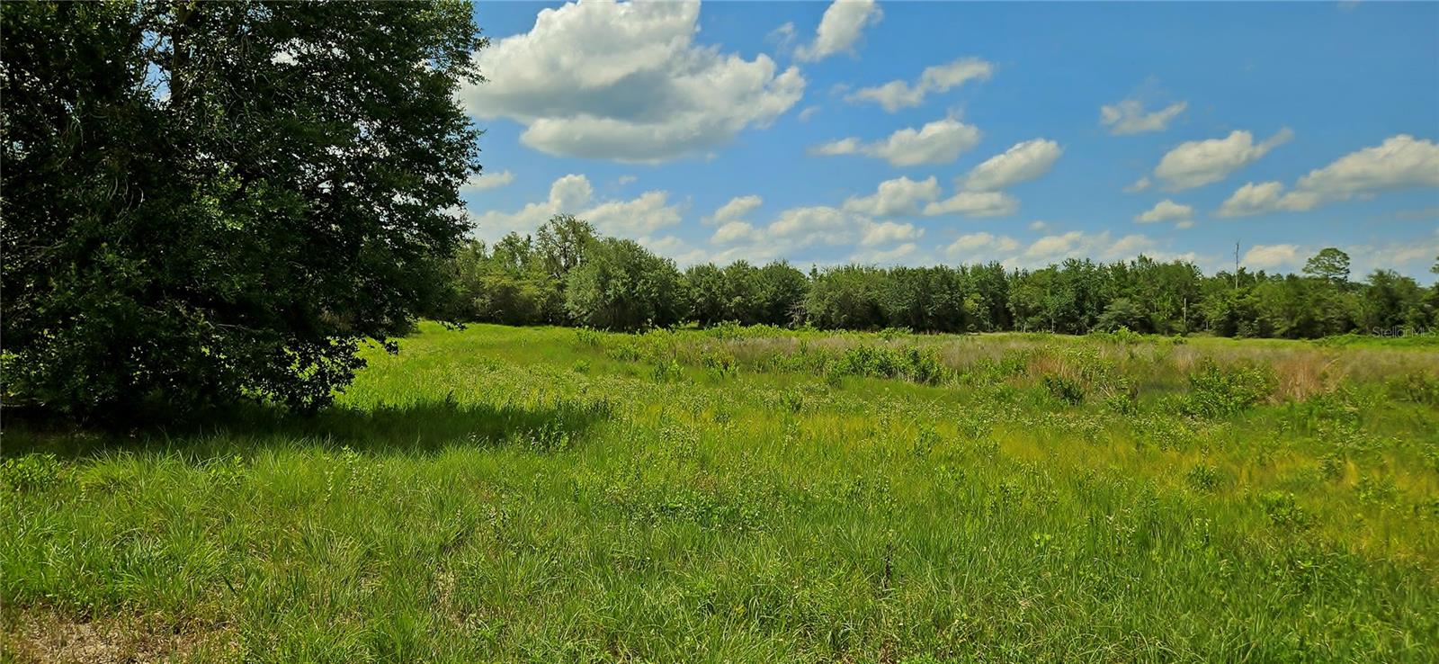 Image 5 of 7 For Mammoth Grove Road