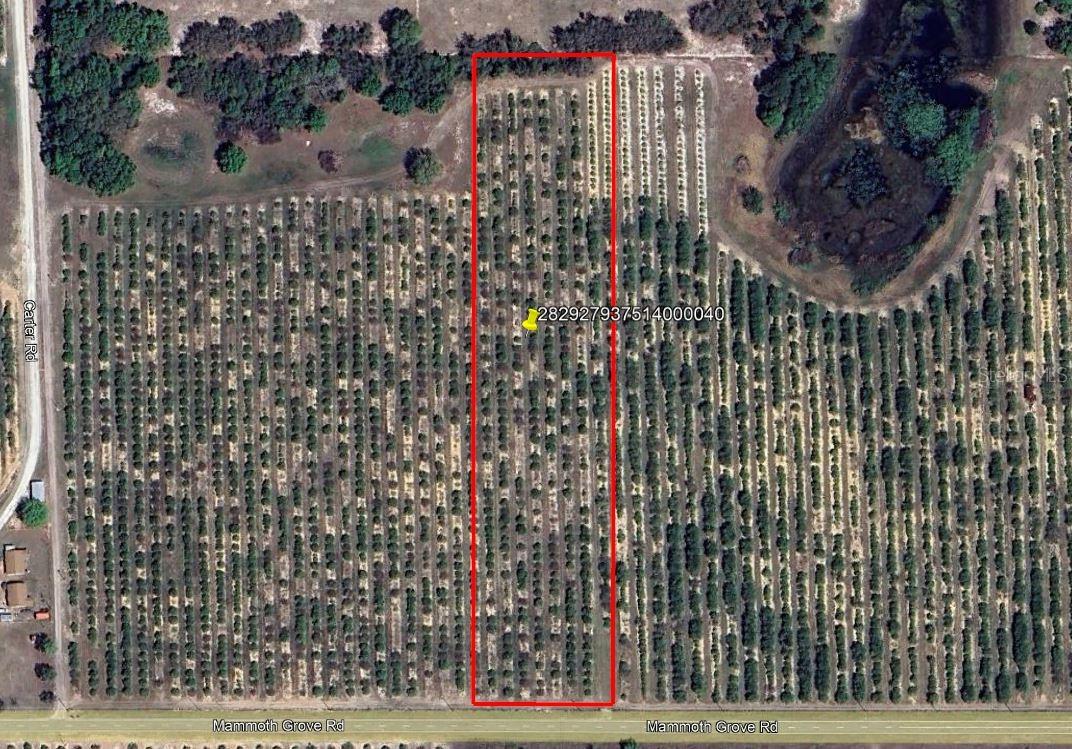 Details for Mammoth Grove Road, LAKE WALES, FL 33898