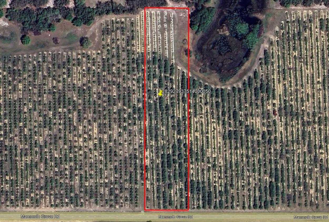 Details for Mammoth Grove Road, LAKE WALES, FL 33898