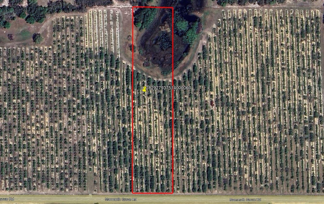 Details for Mammoth Grove Road, LAKE WALES, FL 33898