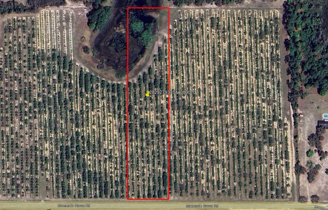 Details for Mammoth Grove Road, LAKE WALES, FL 33898