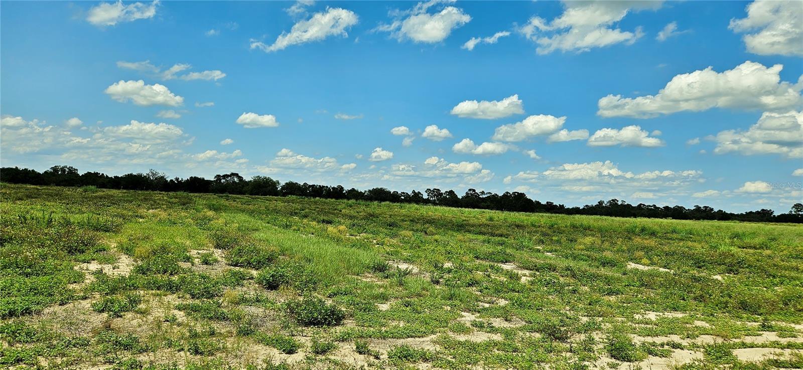 Image 3 of 7 For Mammoth Grove Road