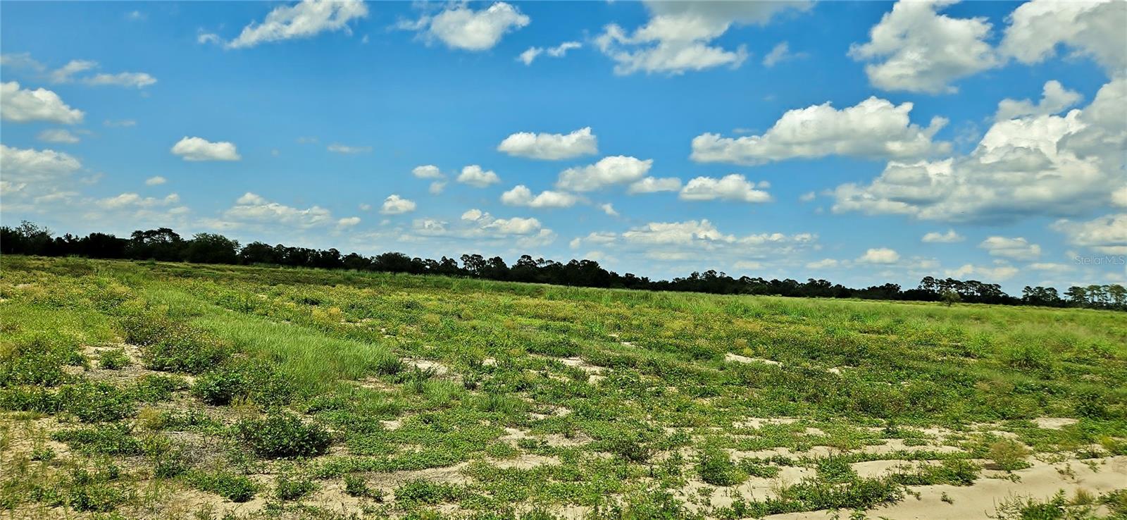 Image 4 of 7 For Mammoth Grove Road