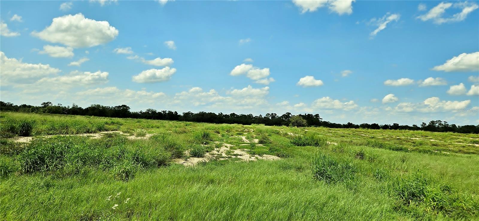 Image 5 of 7 For Mammoth Grove Road