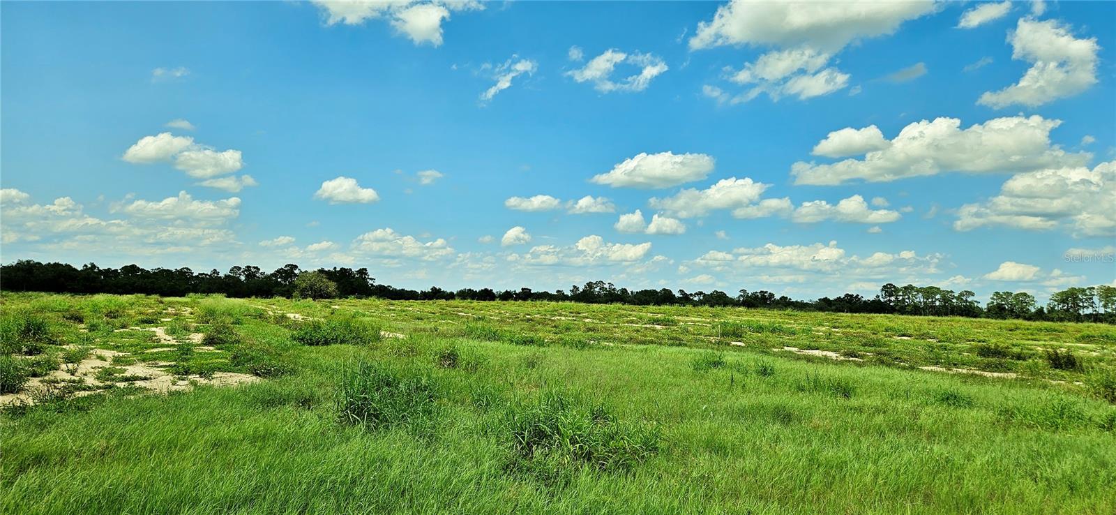 Image 6 of 7 For Mammoth Grove Road
