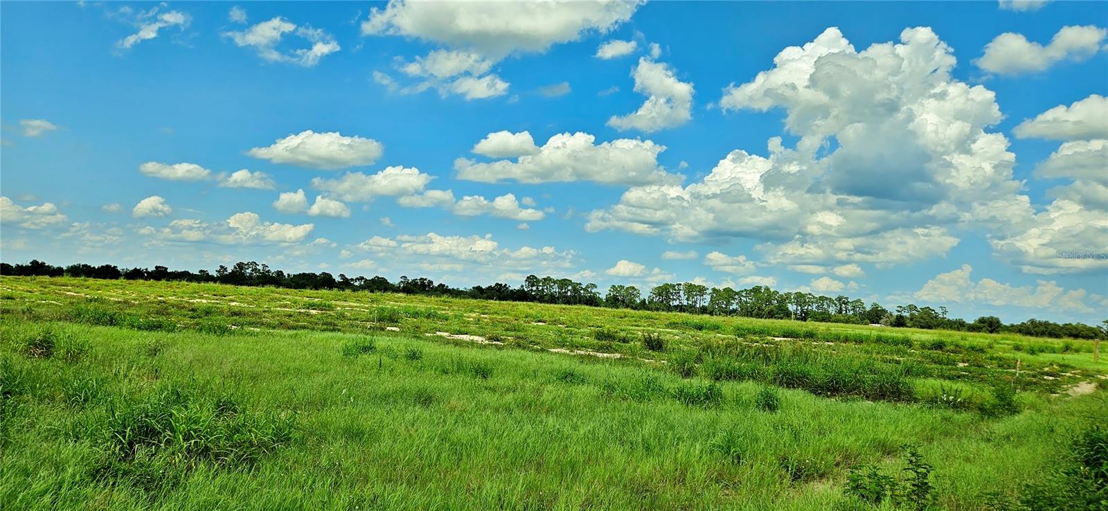 Image 7 of 7 For Mammoth Grove Road