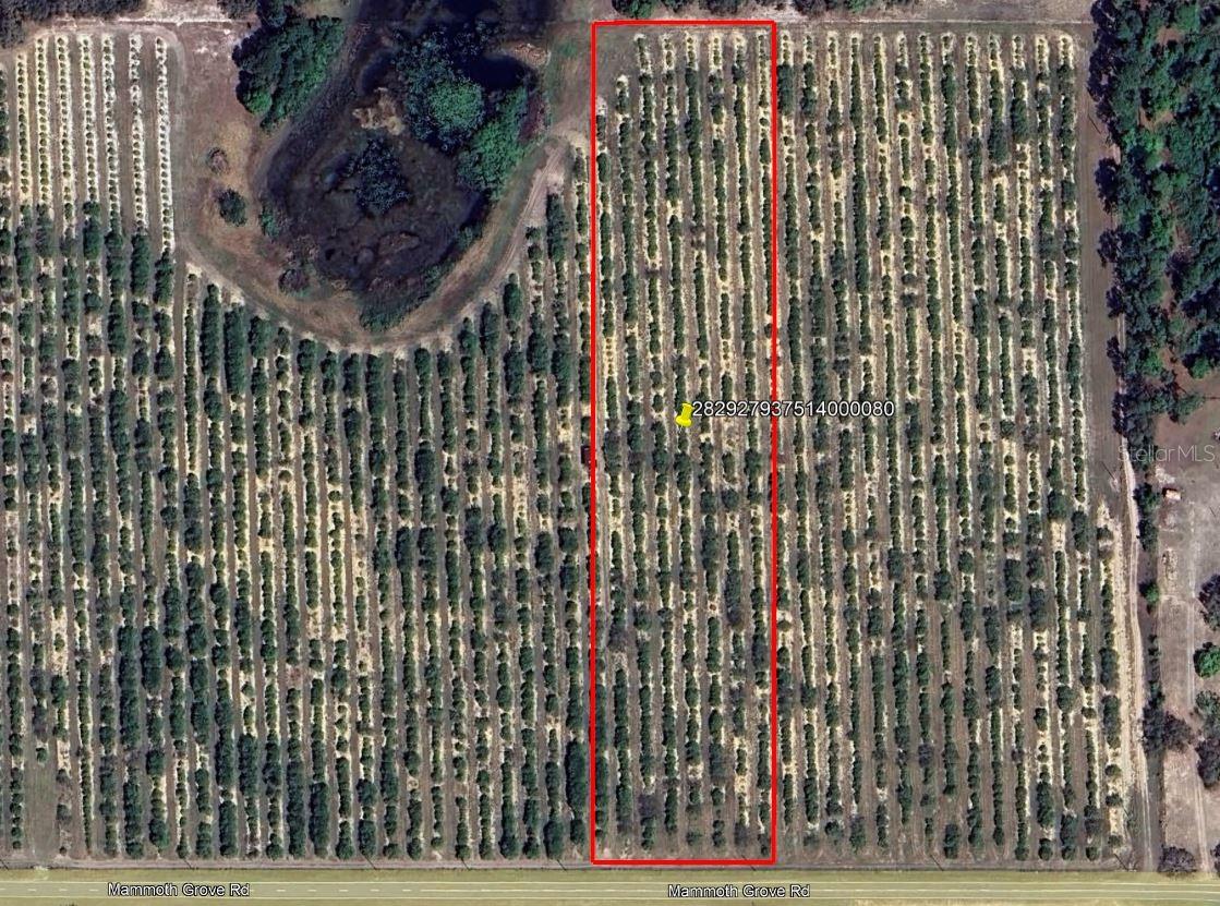 Details for Mammoth Grove Road, LAKE WALES, FL 33898