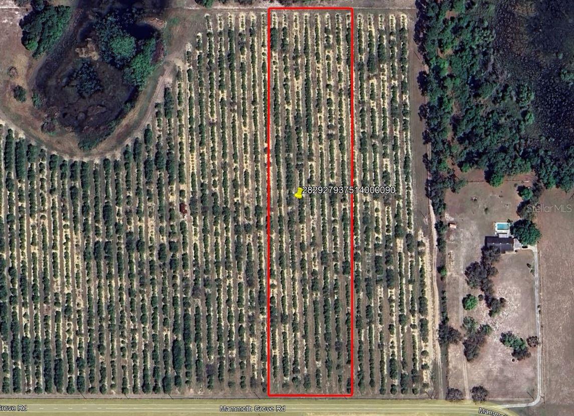 Details for Mammoth Grove Road, LAKE WALES, FL 33898