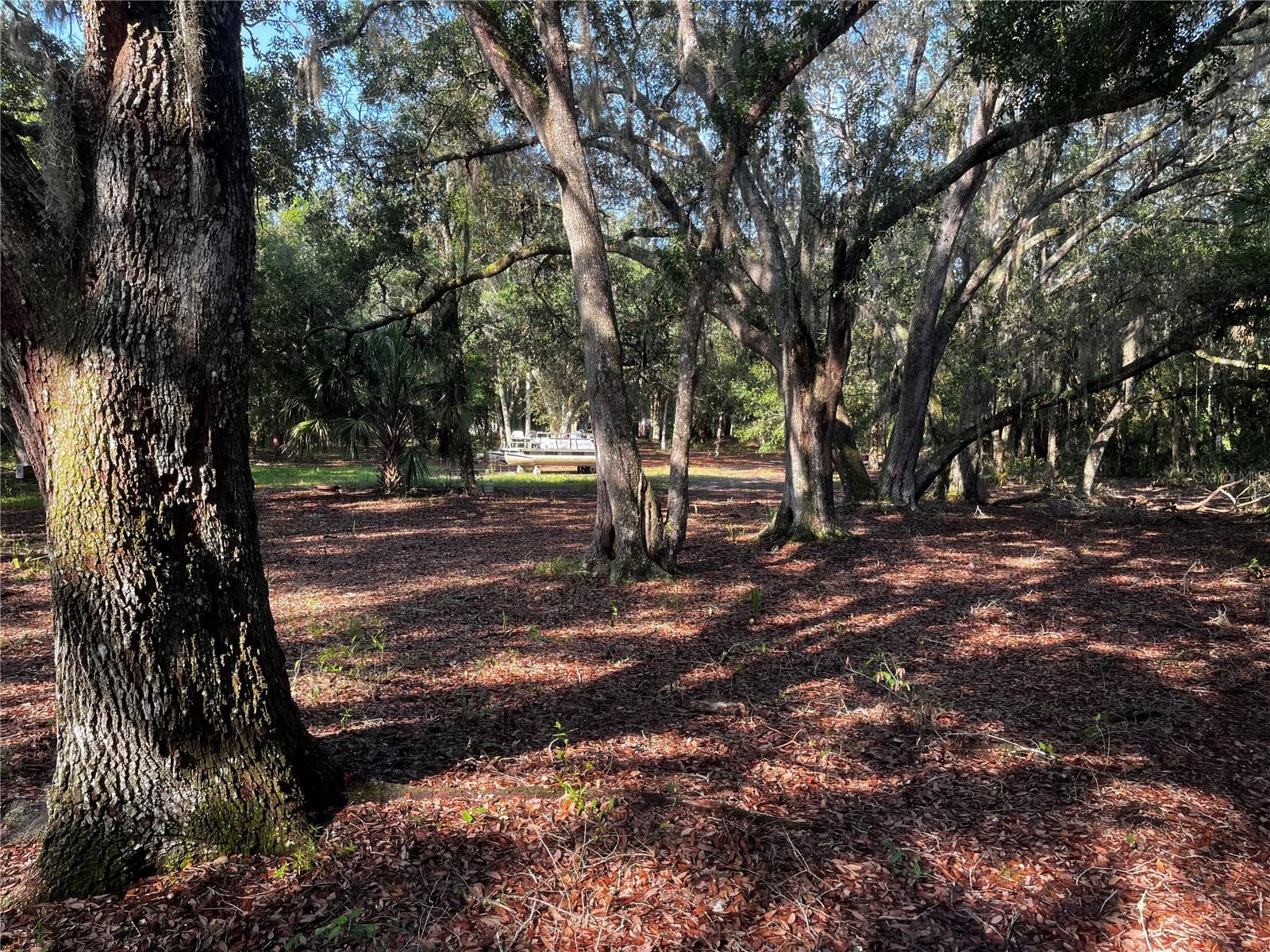 Image 5 of 9 For 0 Camp Mack Road