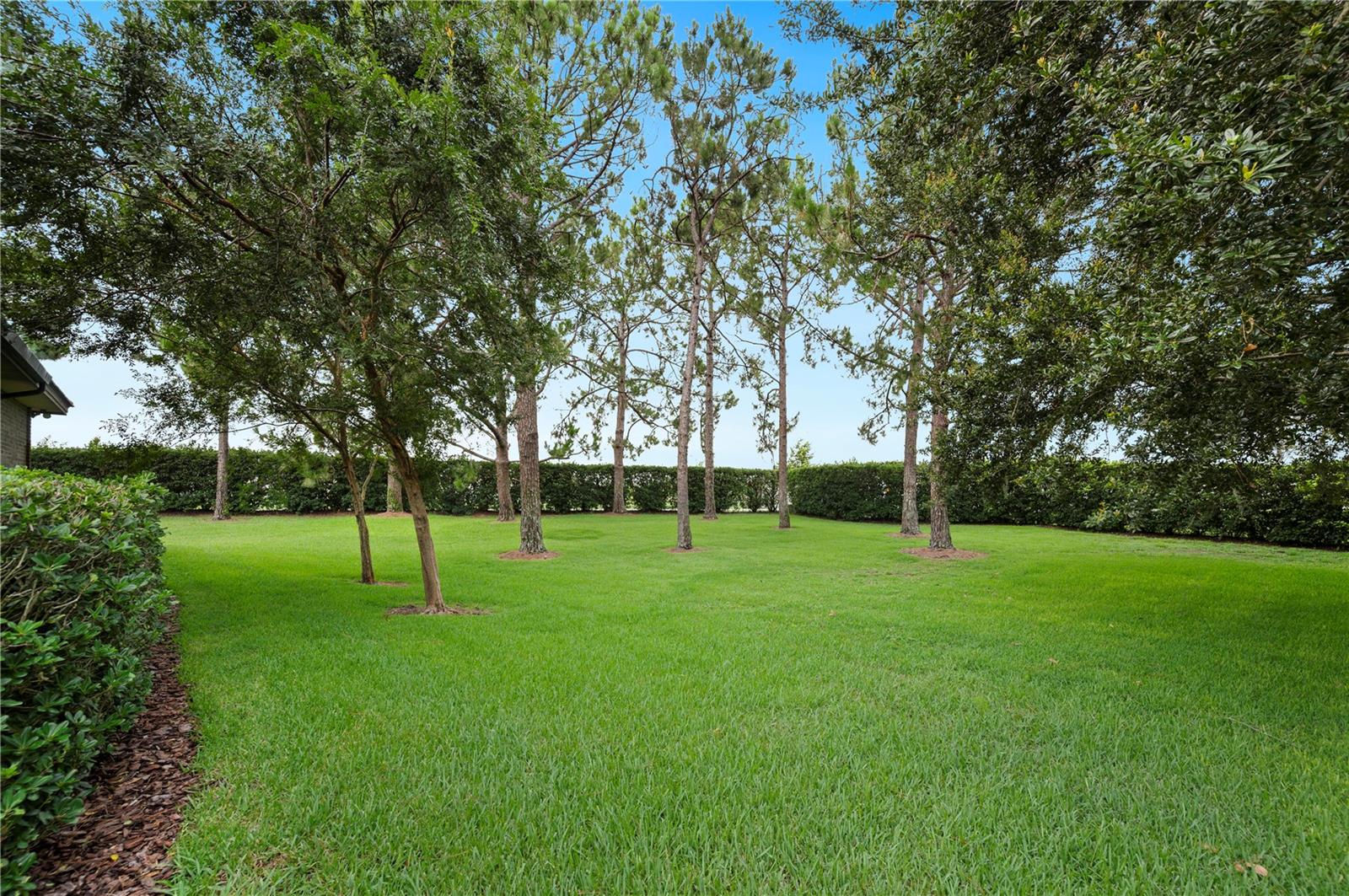 Image 45 of 55 For 105 Woden Way