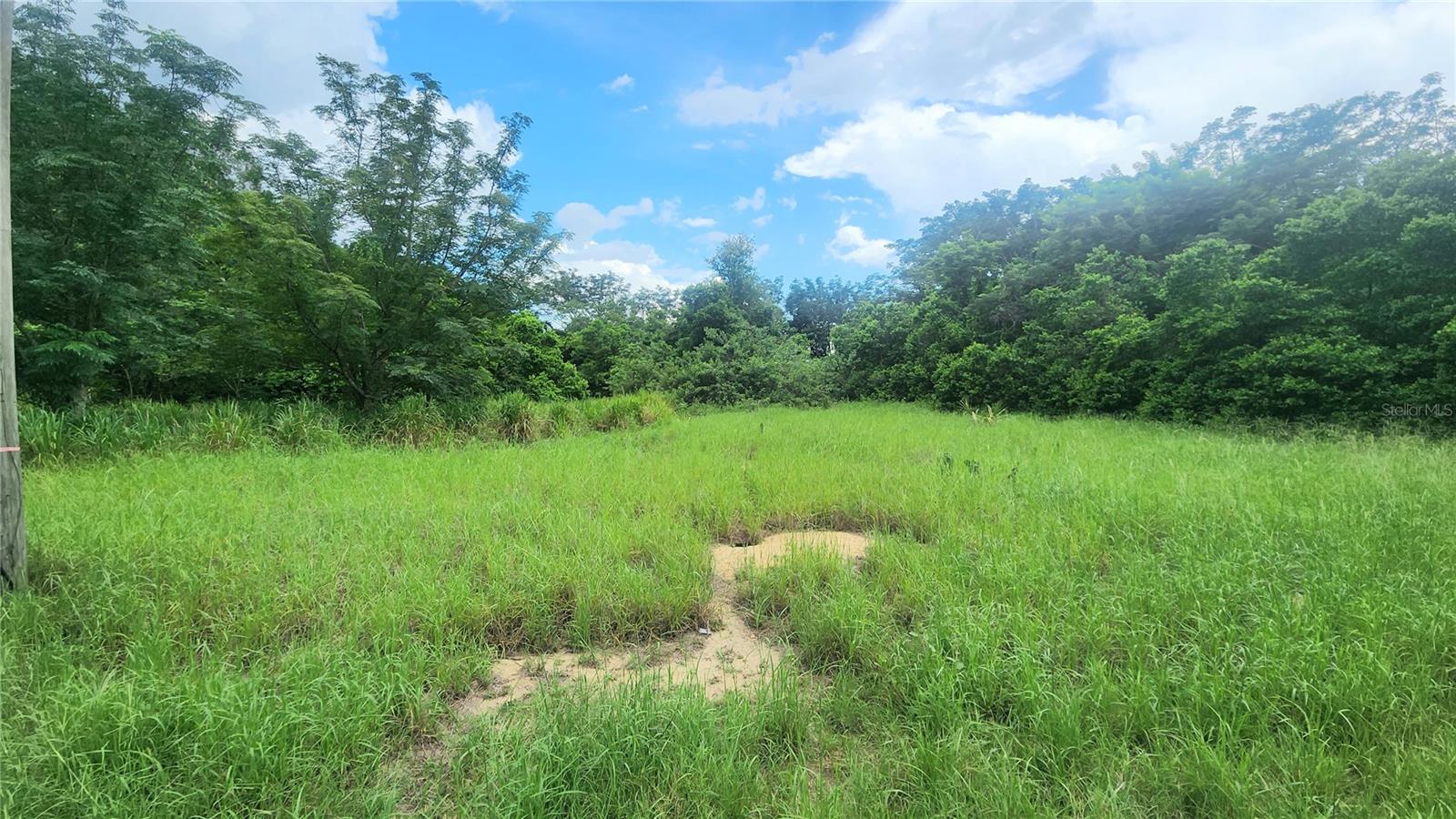 Image 2 of 5 For 225 Hickory Hammock Road