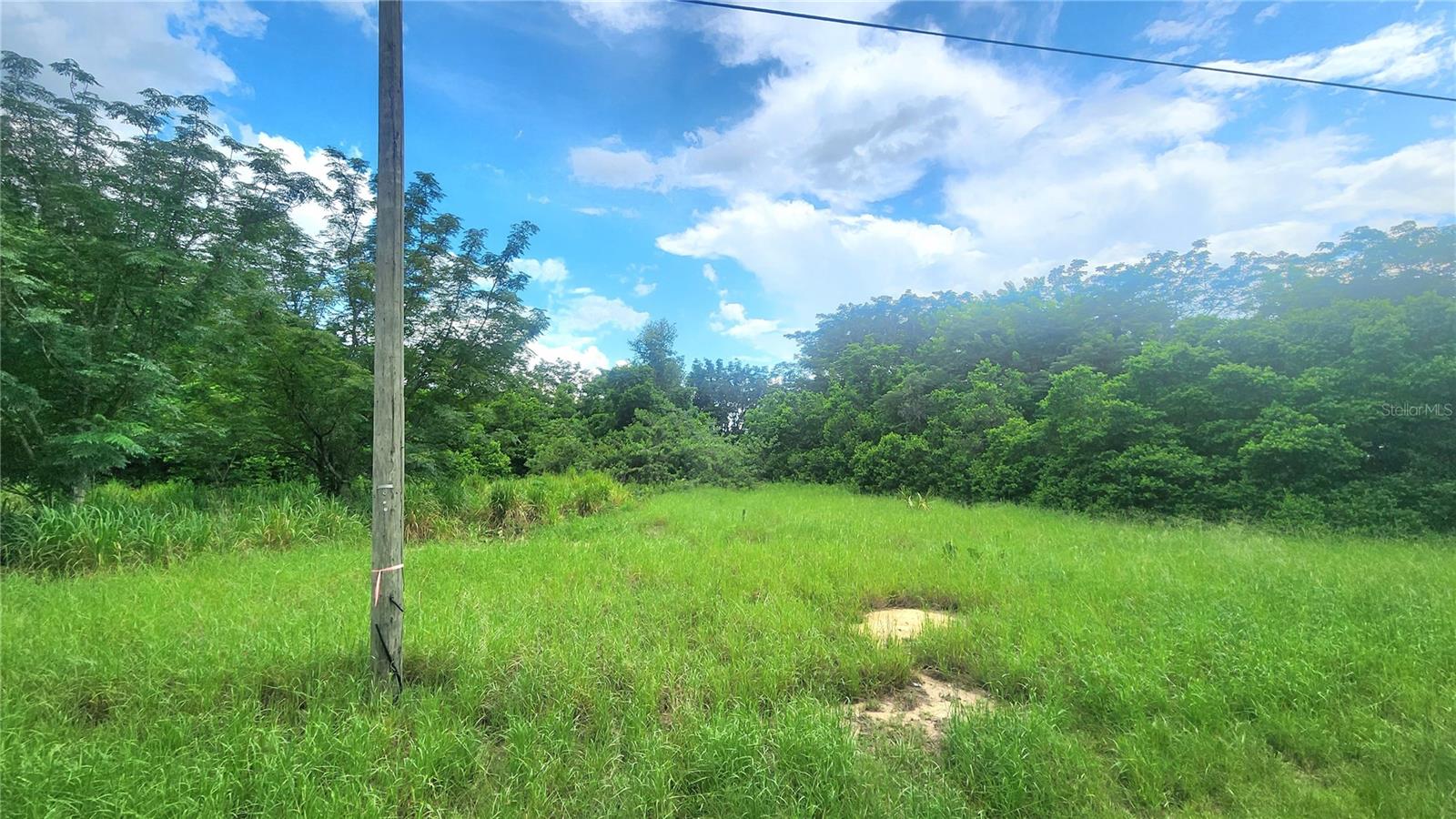 Image 3 of 5 For 225 Hickory Hammock Road