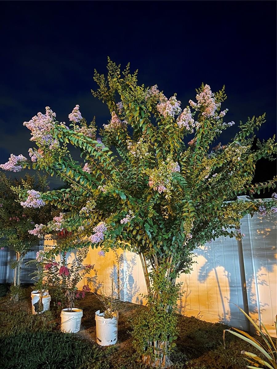 Image 29 of 30 For 1366 Merrimack Place