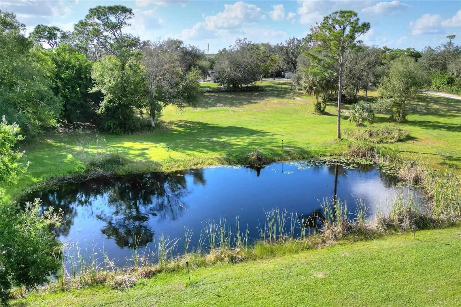 Listing photo id 43 for 119 Mini Ranch Road