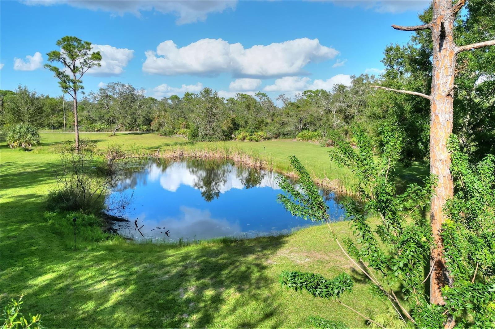 Listing photo id 44 for 119 Mini Ranch Road