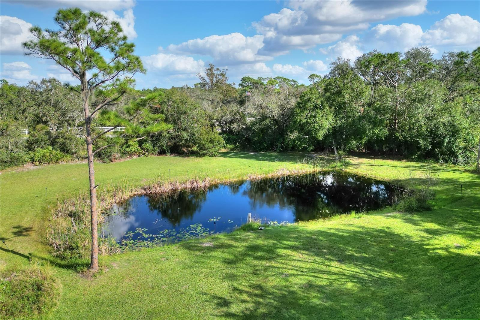 Listing photo id 45 for 119 Mini Ranch Road