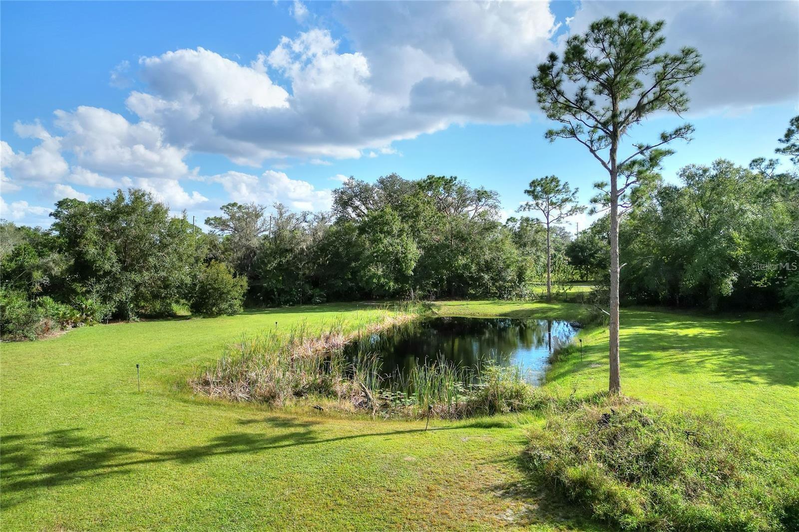 Listing photo id 46 for 119 Mini Ranch Road