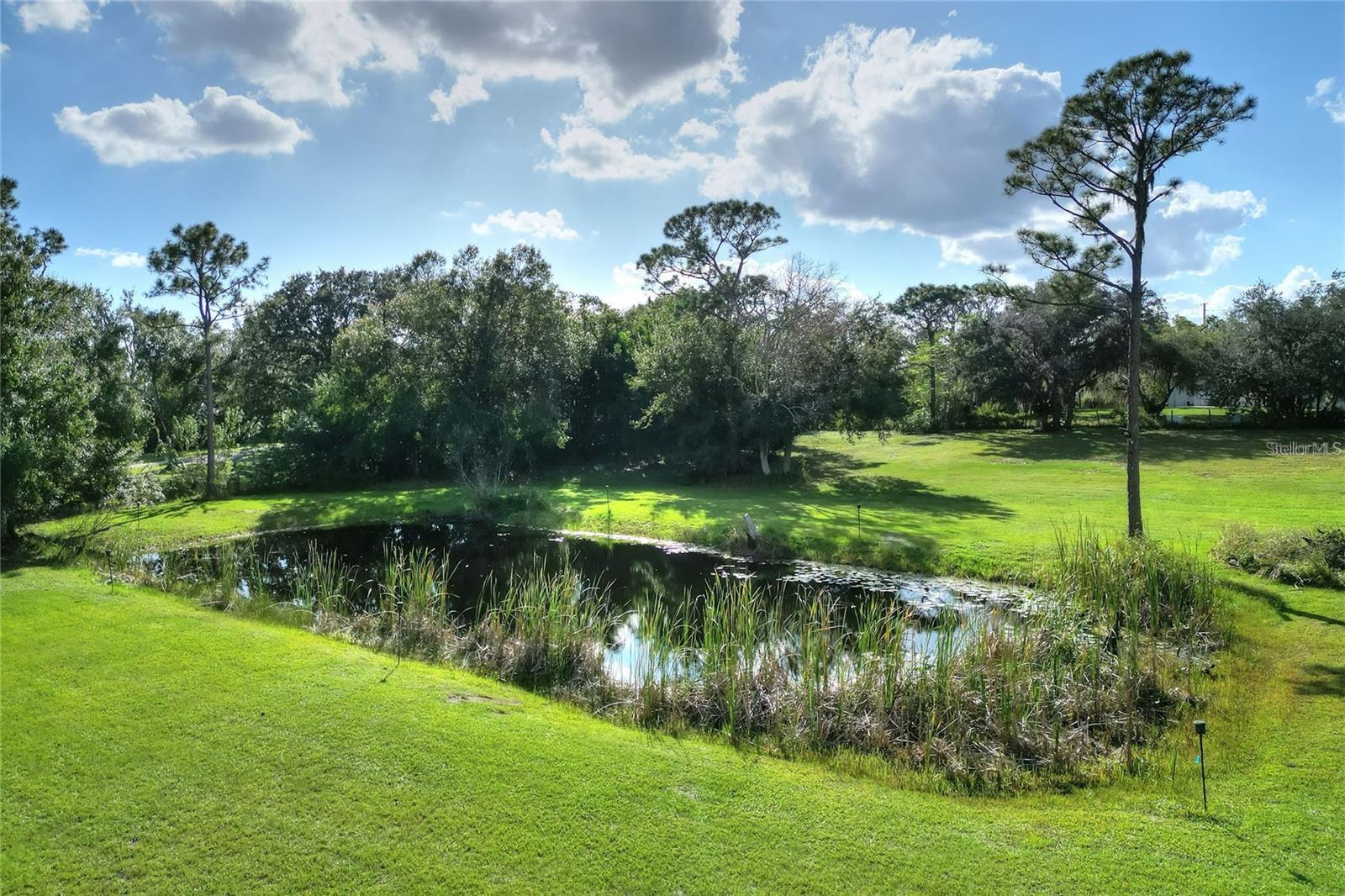 Listing photo id 47 for 119 Mini Ranch Road