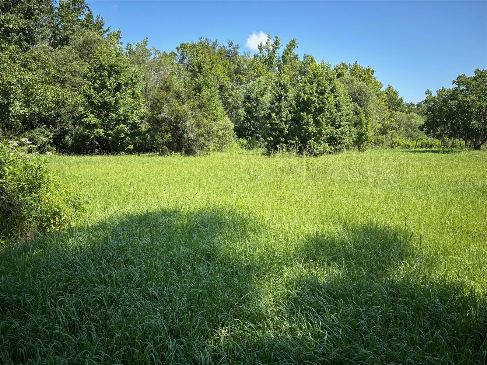 Image 15 of 48 For 149 Mccormick Road