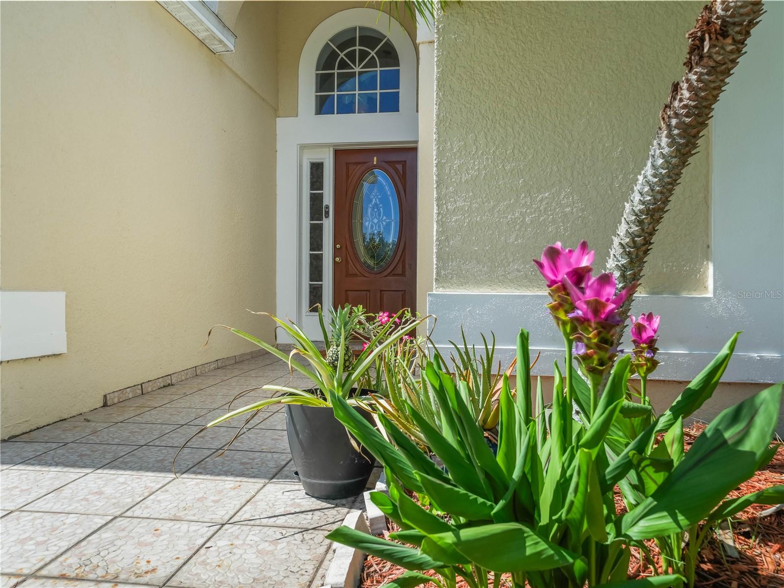 Image 2 of 22 For 2538 Crown Ridge Circle