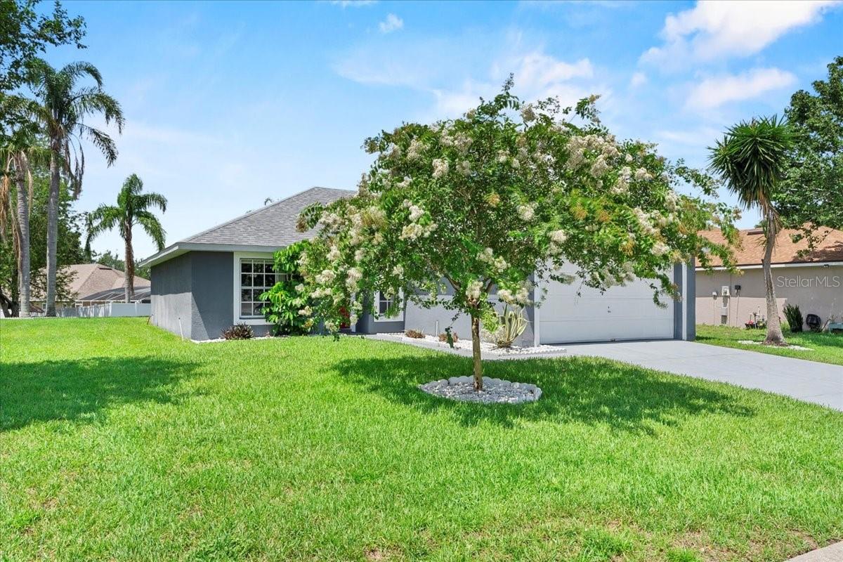 Image 32 of 41 For 419 Wellesly Drive