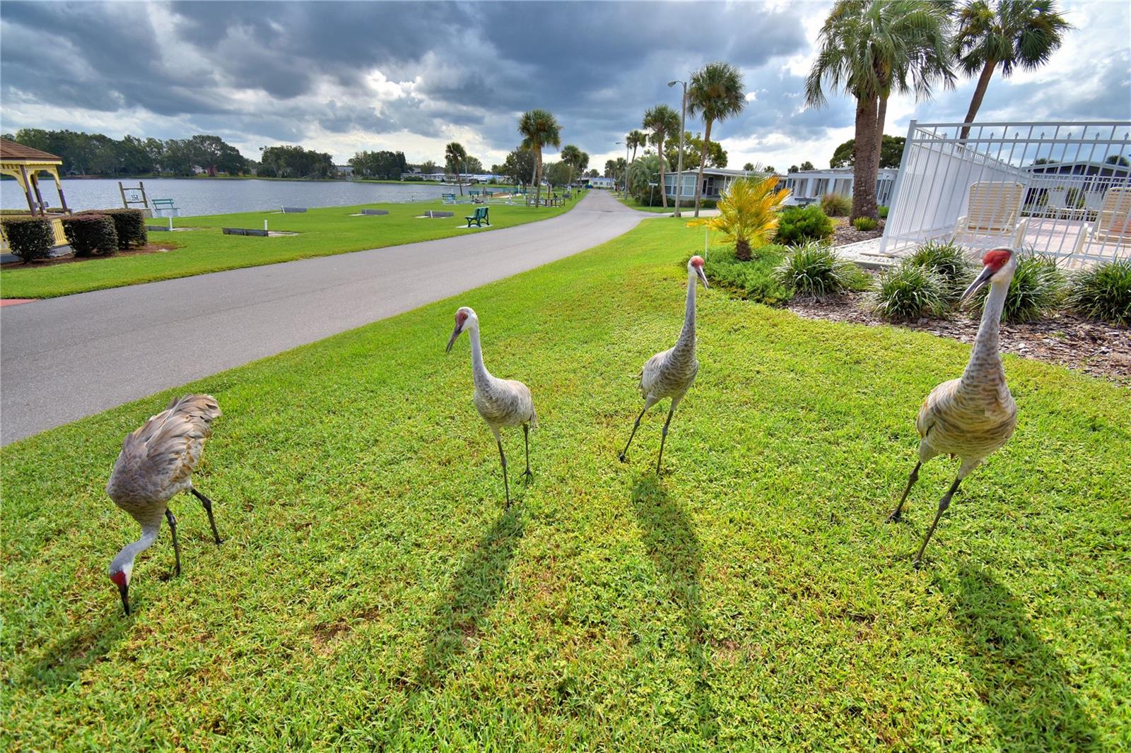 Image 50 of 64 For 4090 Rolling Oaks Drive