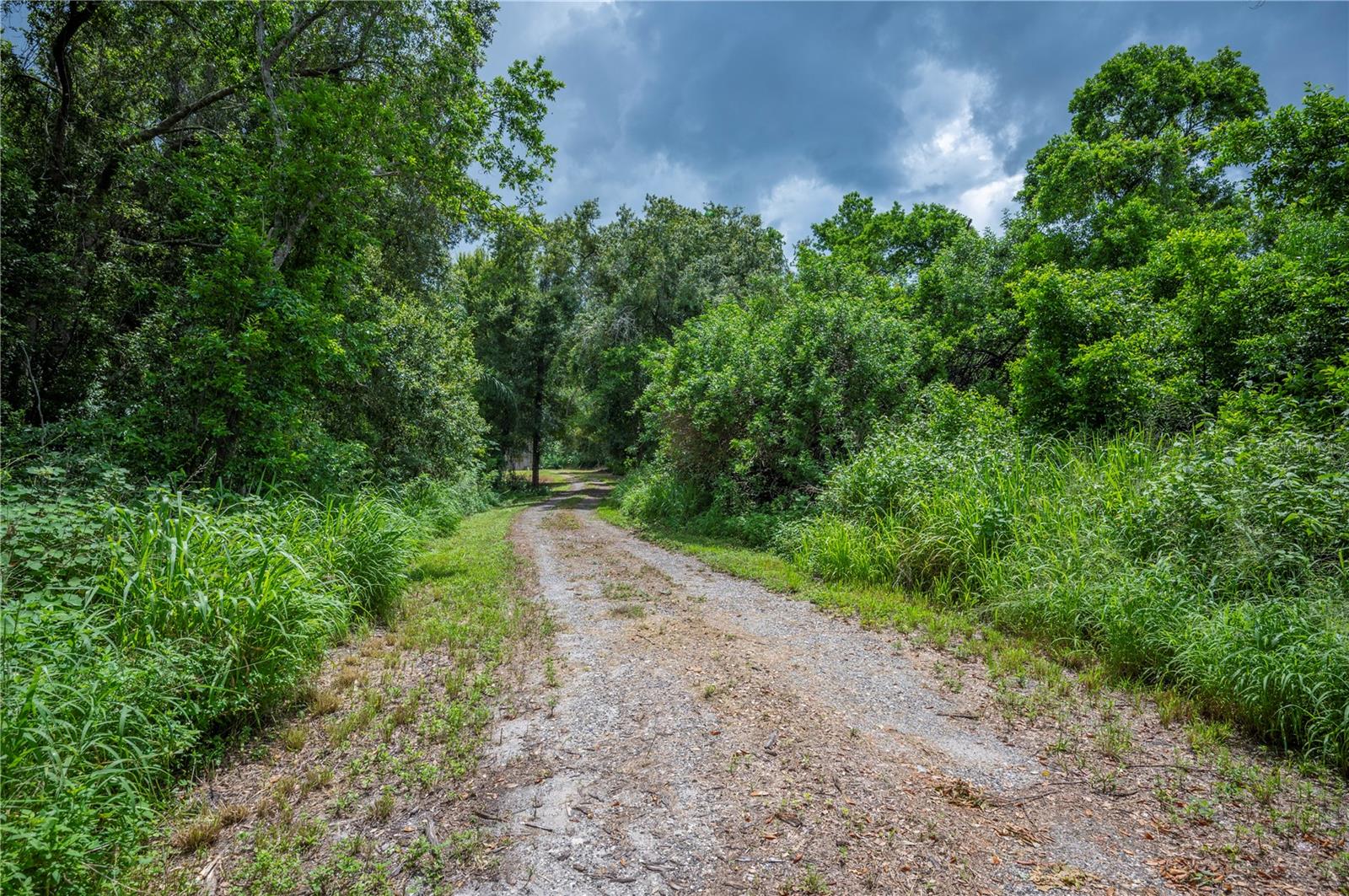 Image 3 of 36 For 2230 Lake Daisy Road