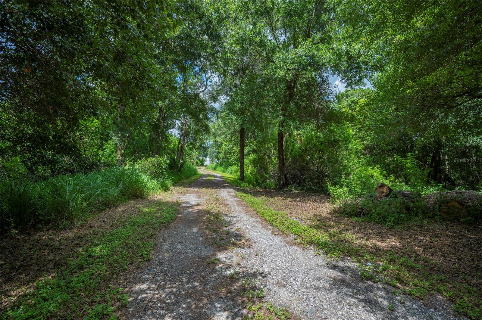 Image 4 of 36 For 2230 Lake Daisy Road