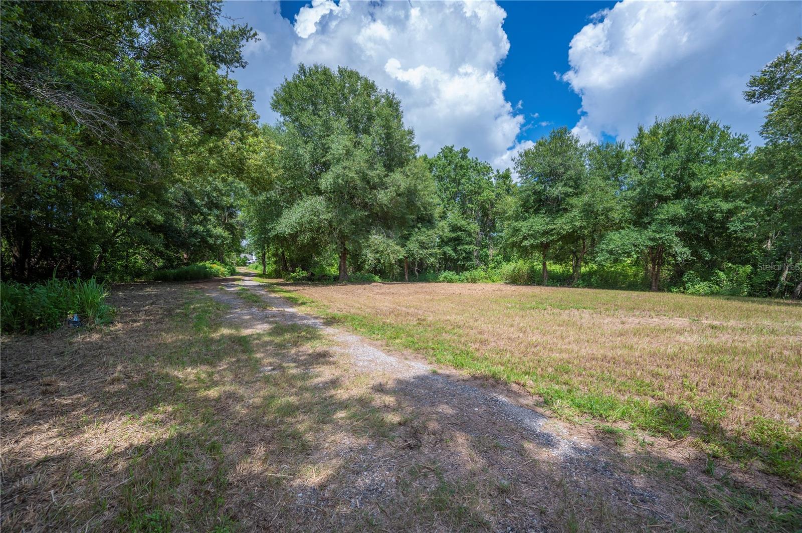 Image 7 of 36 For 2230 Lake Daisy Road