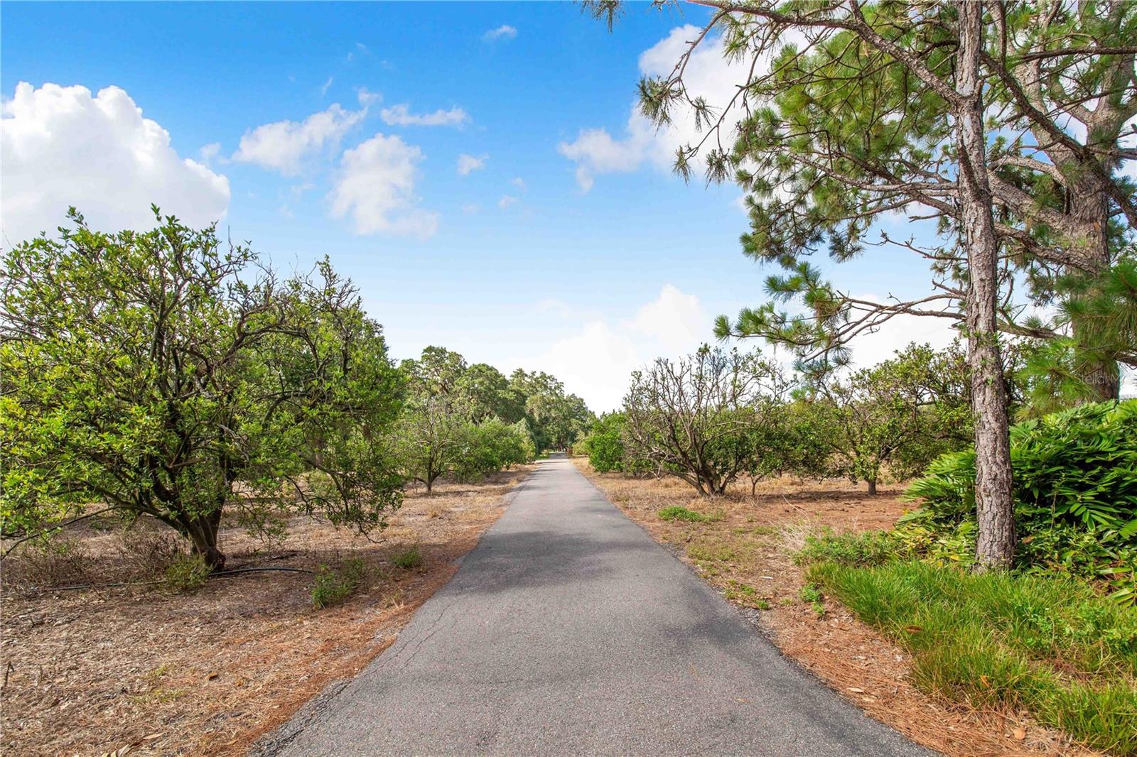 Image 69 of 69 For 7740 Lake Hatchineha Road