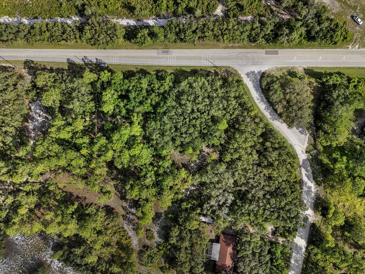 Image 19 of 21 For Blue Jordan Road