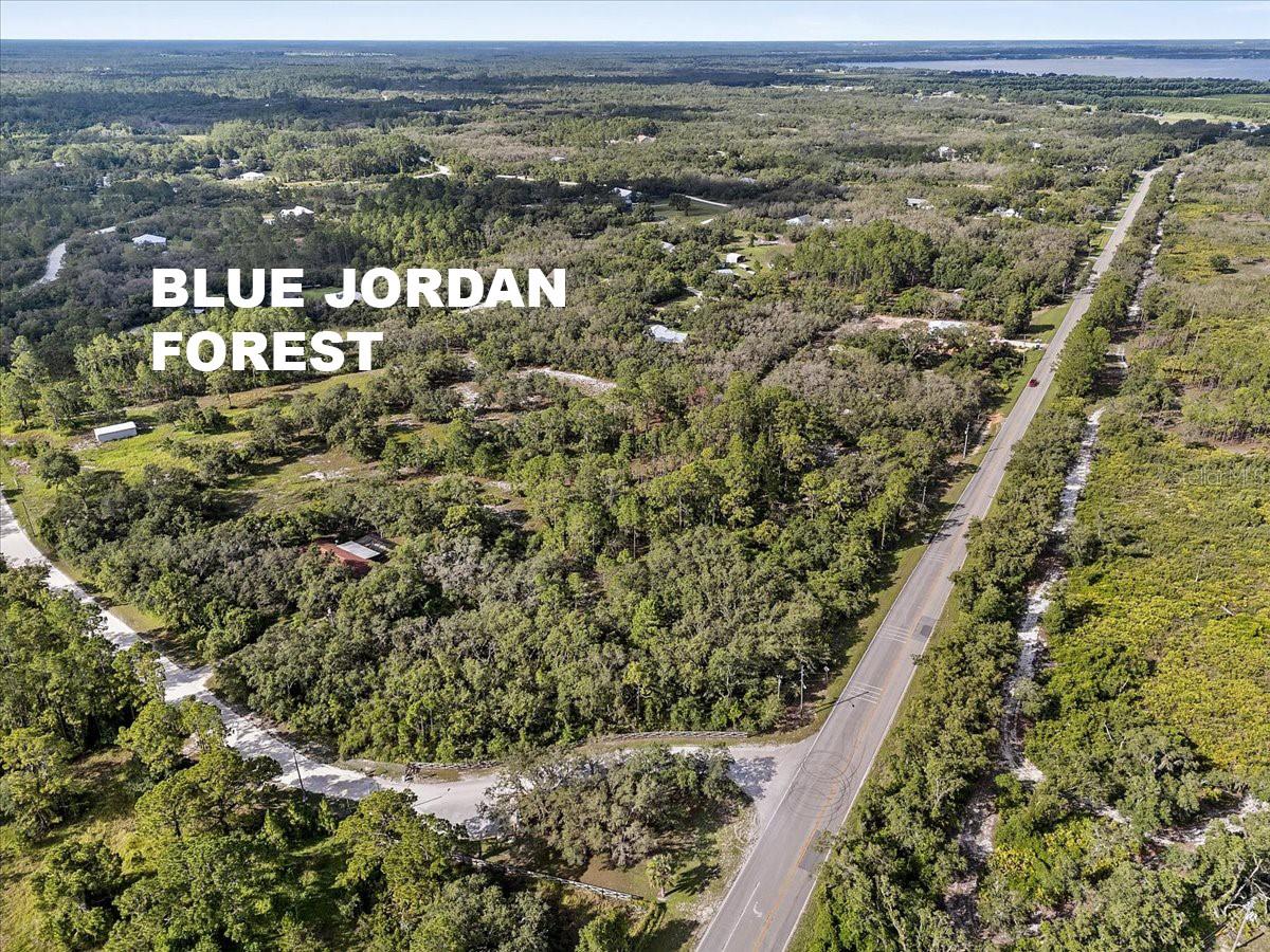 Image 4 of 21 For Blue Jordan Road