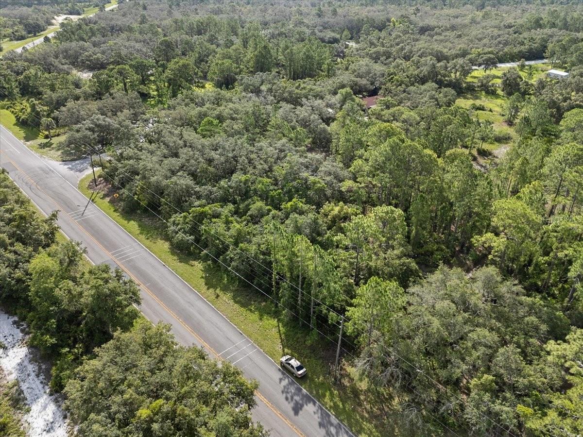 Image 8 of 21 For Blue Jordan Road