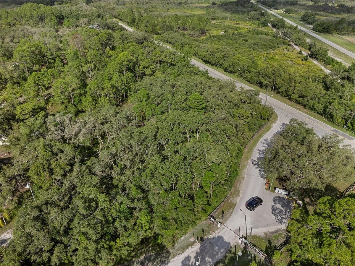 Image 9 of 21 For Blue Jordan Road